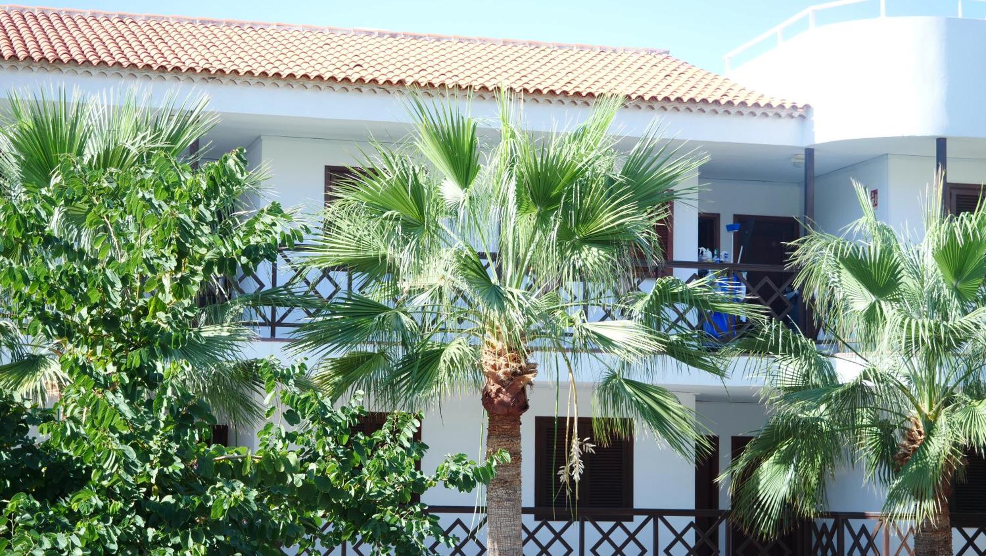 Tuerkiz Kanaan Apartman Puerto de Santiago  Exterior photo